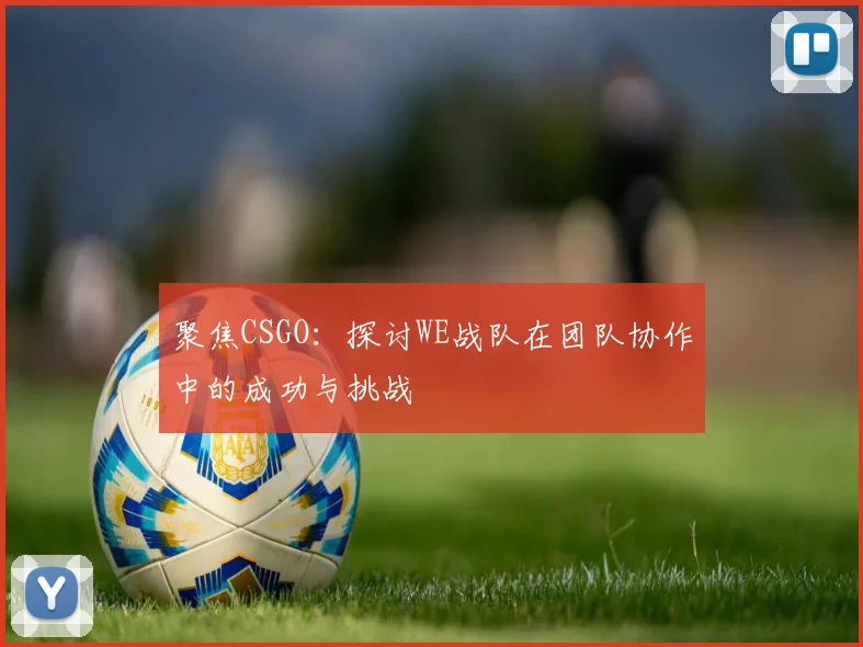 聚焦CSGO：探讨WE战队在团队协作中的成功与挑战
