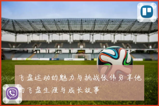 飞盘运动的魅力与挑战张伟分享他的飞盘生涯与成长故事